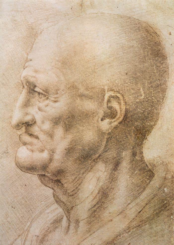 Portrait_of_an_old_man_by_da_Vinci.jpg